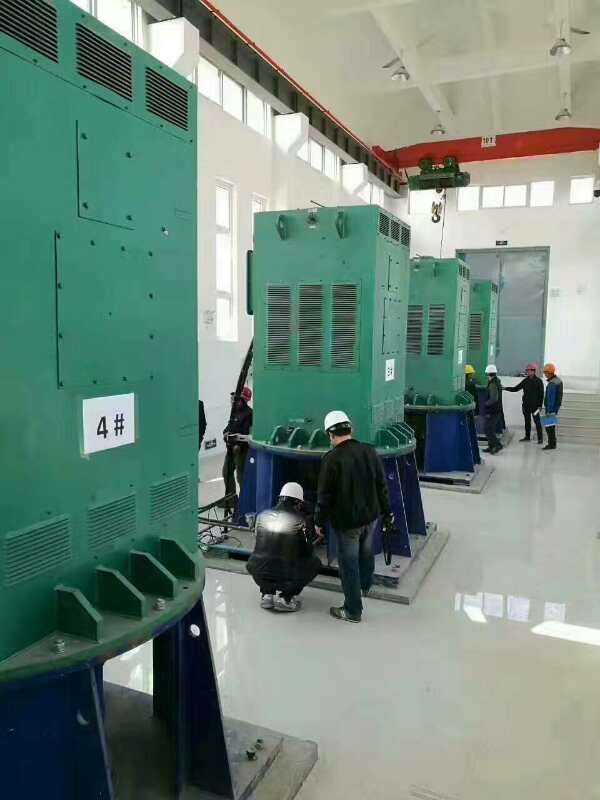 Y8009-8某污水处理厂使用我厂的立式高压电机安装现场生产厂家