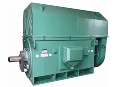 Y8009-8Y系列6KV高压电机